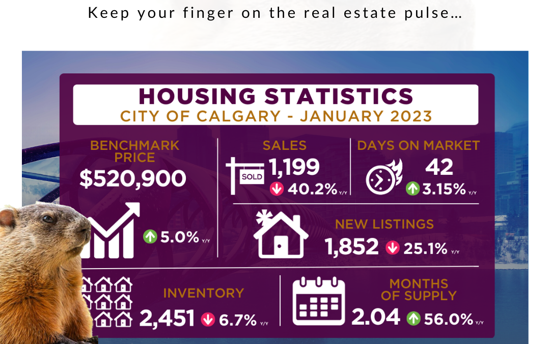 JANUARY 2023 CALGARY AND AIRDRIE REAL ESTATE MARKET