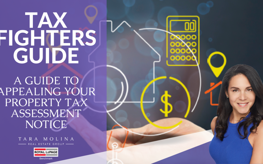 Tax Fighter Guide 2023 – How to fight your city property tax assessment