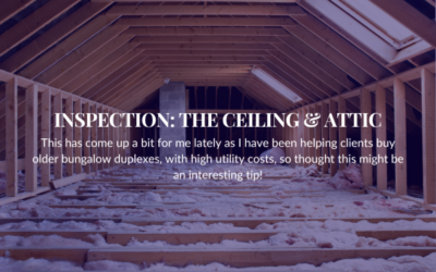 INSPECTION – THE CEILING & ATTIC