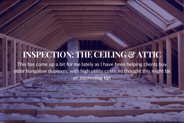 INSPECTION – THE CEILING & ATTIC